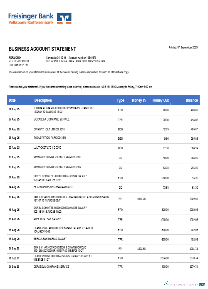 Download Freisinger Bank account business statement Word and PDF format Photoshop template